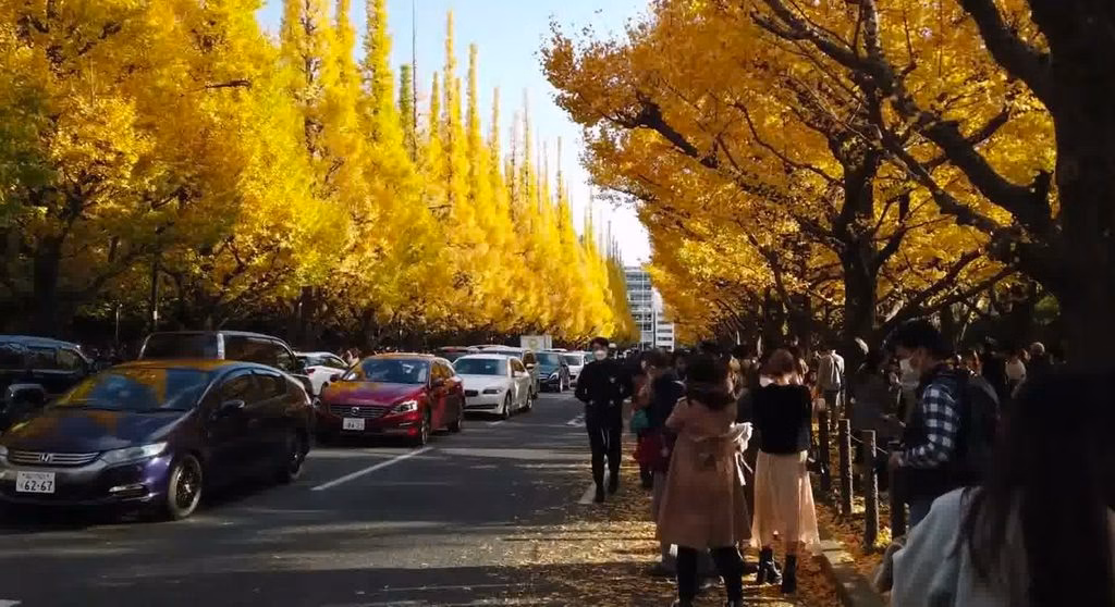 otoño en japon