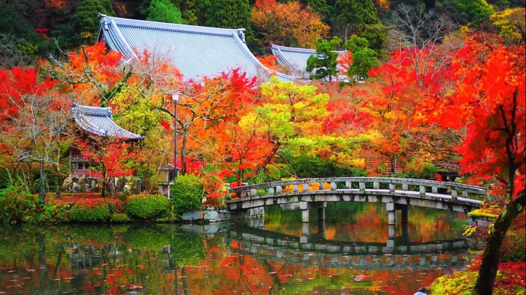 otoño en japon